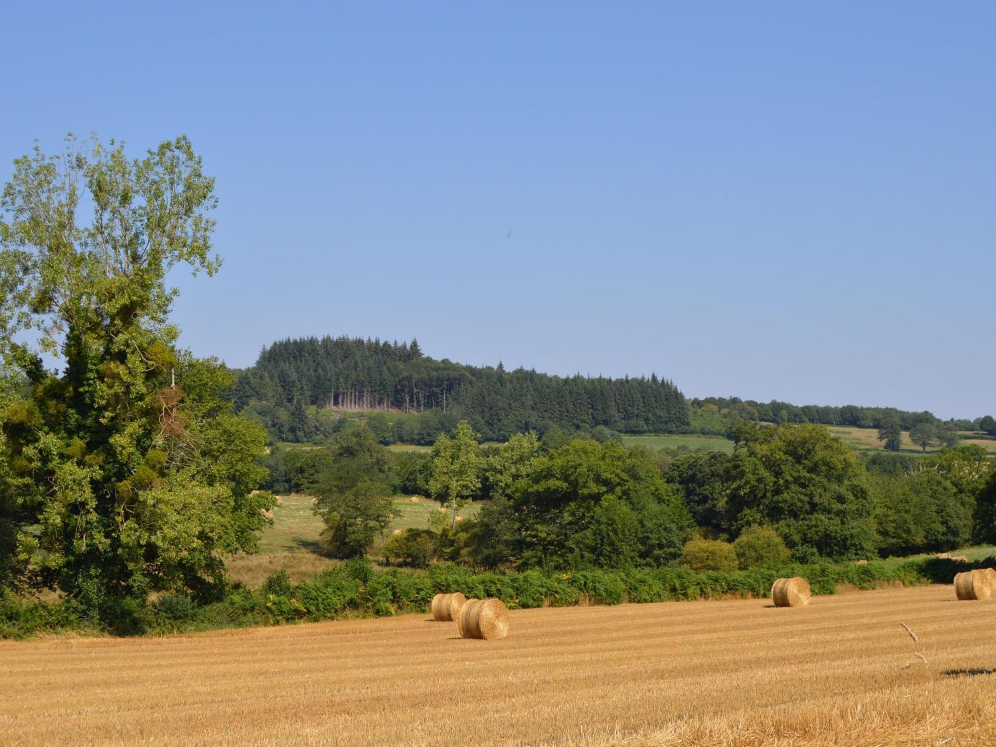 Grande Ferme Renovee Avec Jardin Et Loisirs A Proximite - Fr-1-591-155 Villa Pouligny-Notre-Dame Exterior foto